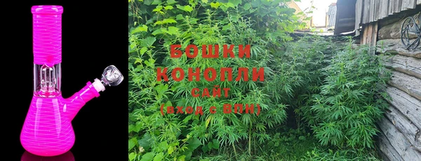 прущие крисы Алзамай
