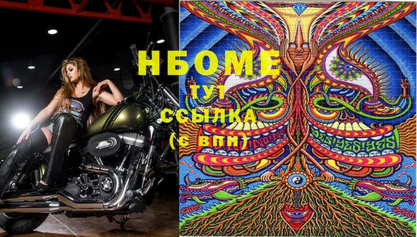 стафф Снежногорск