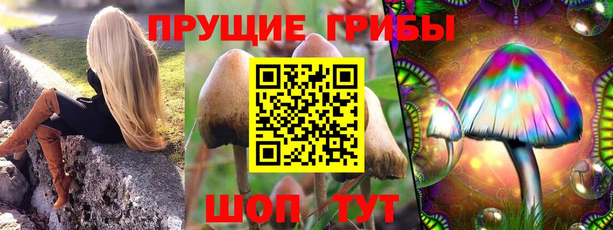 APVP Когалым
