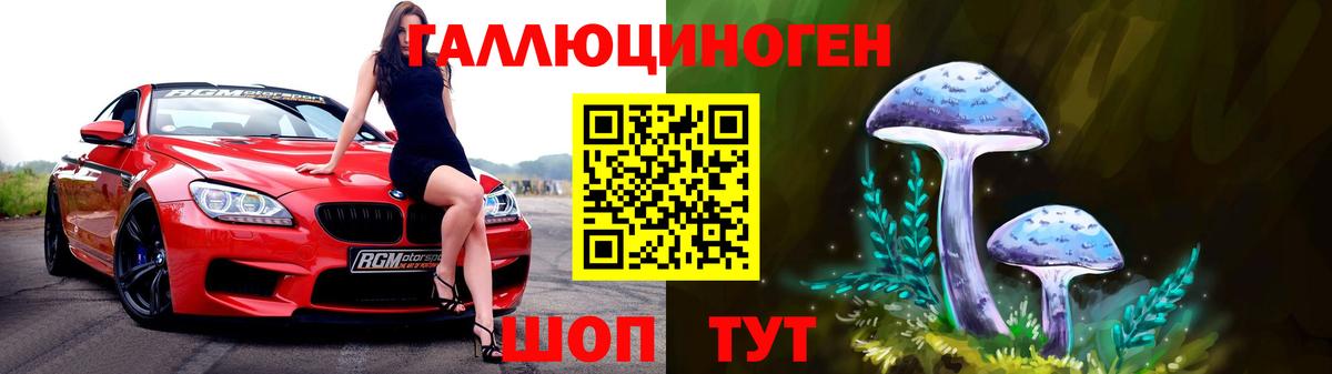 Псилоцибиновые грибы Cubensis Когалым